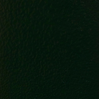Шагрень темно-зеленая